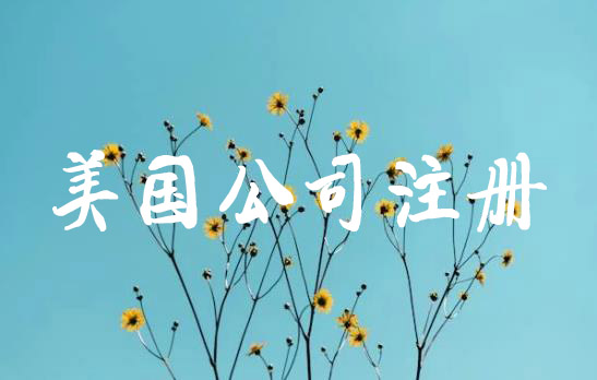 美国公司注册申请条件和流程