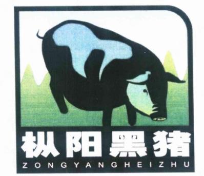 铜陵市地理标志农产品商标品牌【枞阳黑猪】